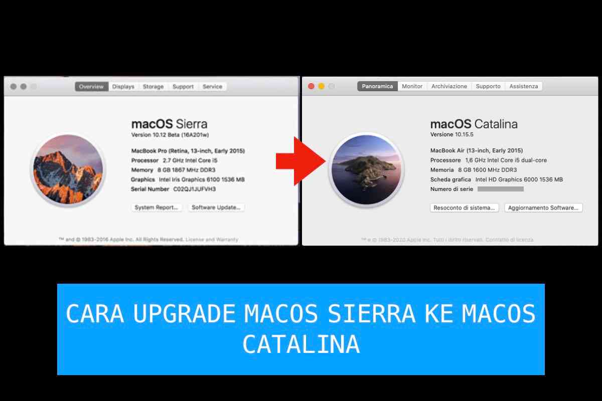 Cara Mudah Upgrade MacOS Sierra ke MacOS Catalina di Macbook Pro ...