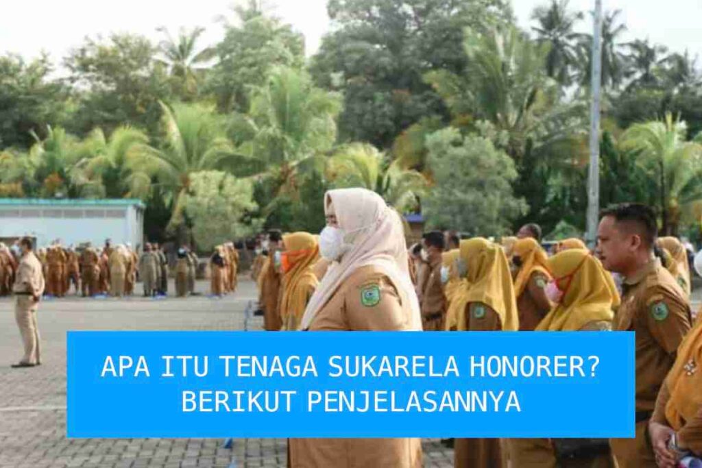 apa itu tenaga sukarela honorer